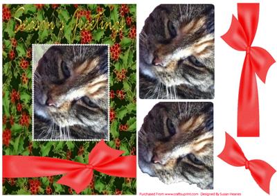 A Purrfect Christmas 2