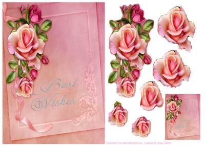Rose Romantica 6