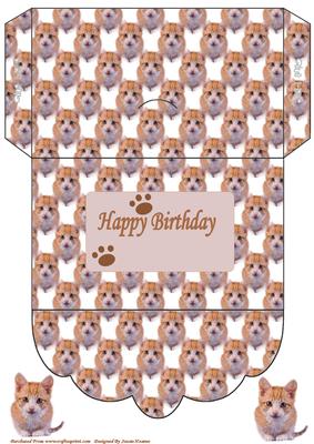Cute Little Kitten Money Wallet