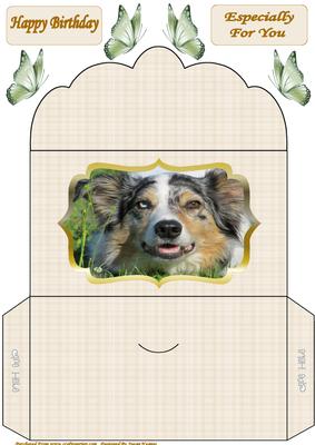 Gorgeous Koda Money Wallet