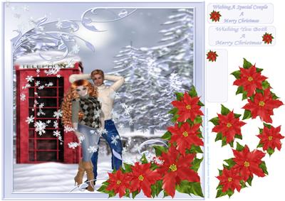 For a Special Couple at Christmas Time