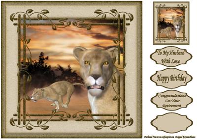 Lioness on Watch - Safari Collection