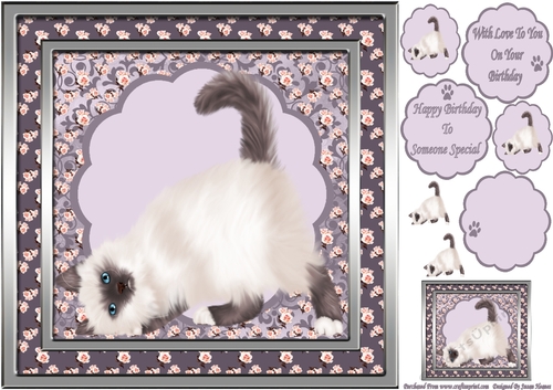 Sweet Little Cleo