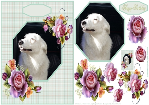 Gorgeous Tilly - Lovable Pet Collection