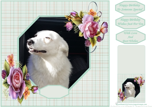 Gorgeous Tilly 8x8 - Lovable Pet Collection