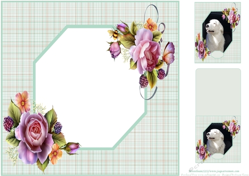 Gorgeous Tilly 8x8 Insert, With Topper And Gift Tag - Lovable Pet Collection