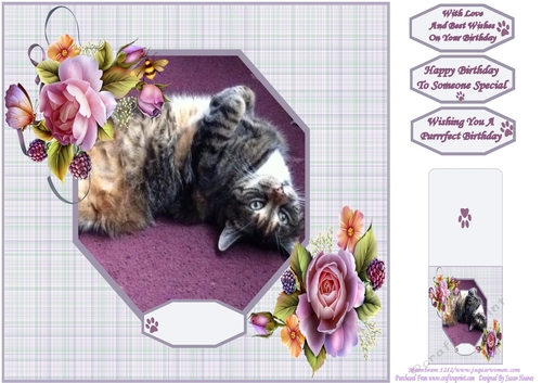 Our Gorgeous Freckles 8x8 - Lovable Pet Collection