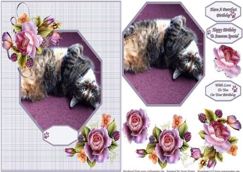 Our Gorgeous Freckles - Lovable Pet Collection