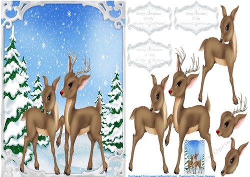 For A Special Couple At Christmas Time