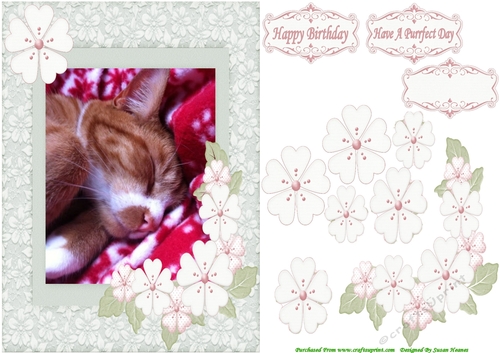 Sleeping Tiggi