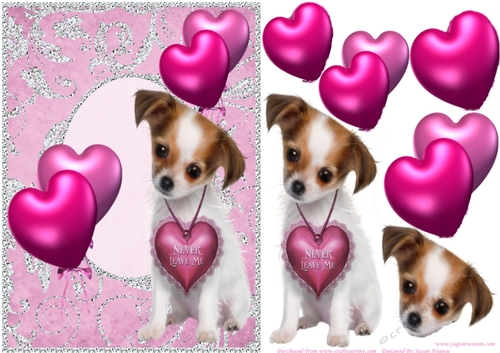 Little Chihuahua Valentine