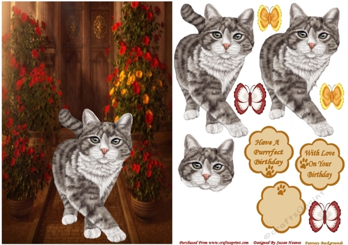 Here Comes Little Miss Fluffy McMittens
