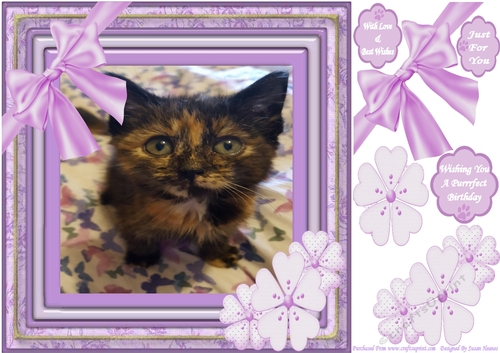 Gorgeous Lilly 8x8