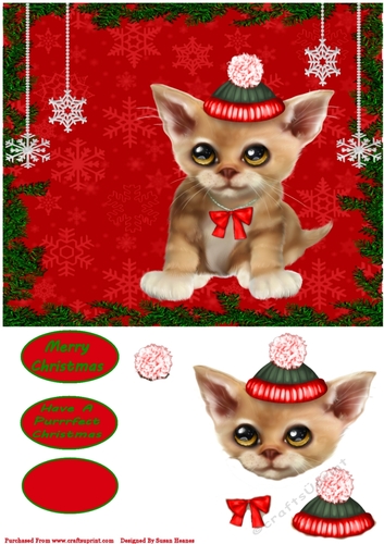 Sweet Christmas Kitten