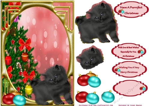 Sweet Little Midnights First Christmas