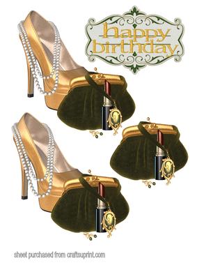 Evening Shoes and Purse