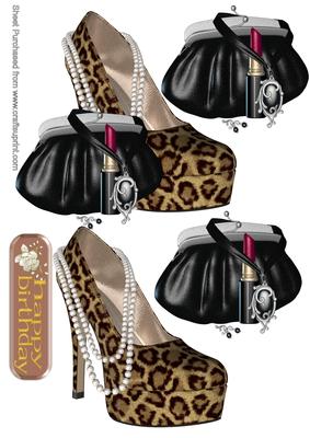 Evening Shoes and Purse 3