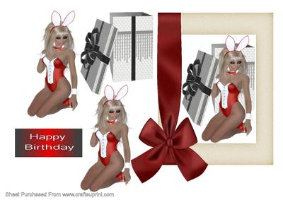 Birthday Bunny Surprise