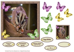 Sweet Little Sugar Glider 7x7