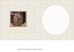 Sweet Little Sugar Glider 7x7 Insert
