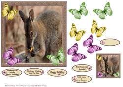 Sweet Little Rock Wallaby 7x7