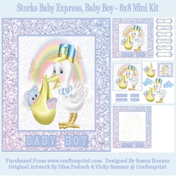 Storks Baby Express, Baby Boy - 8x8 Mini Kit