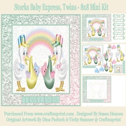 Storks Baby Express, Twins - 8x8 Mini Kit