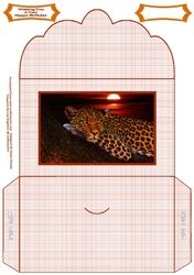 The Leopard Resting At Sunset - Money Wallet