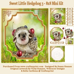 Sweet Little Hedgehog 3 - 8x8 Mini Kit