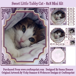 Sweet Little Tabby Cat - 8x8 Mini Kit