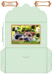 Sweet Little Terrier Puppy - Money Wallet