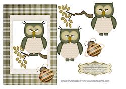 Wise Old Owl