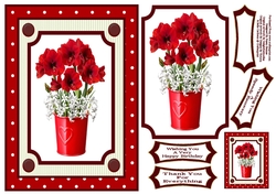 Pretty Red And White Flowers 