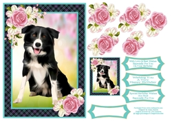 What A Sweet Dog 2