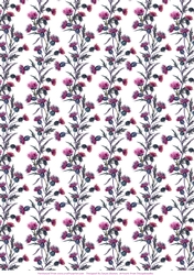 Thistle - Paper