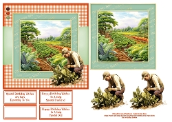 The Veg Patch - 6x6