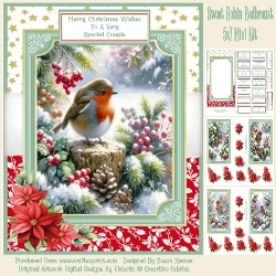 Sweet Robin Redbreast - 5x7 Mini Kit