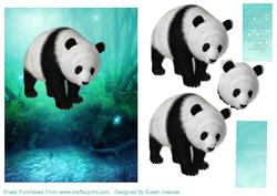 Beautiful Giant Panda