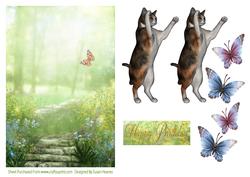 Catching Butterflies