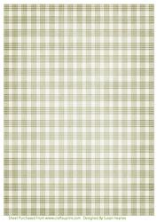 Autumn Green Plaid Paper