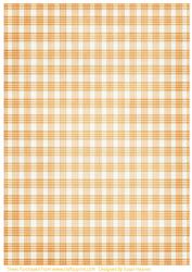 Autumn Orange Plaid Paper 2