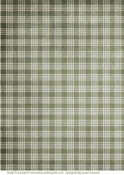 Holly Green Plaid Paper