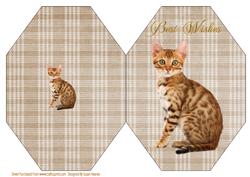 Tabby Kitten Octagon Card