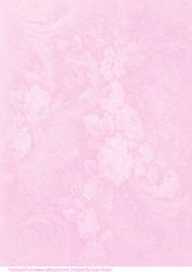 Pale Pink Rose Paper