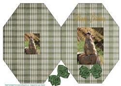 Meerkat Octagon Card