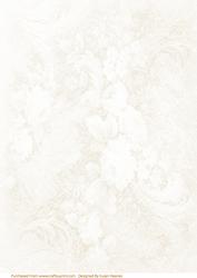 Cream Roses Paper