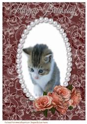 A4 Sweet Kitten and Roses