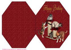 Kittens Playground Octagon Card