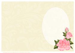 Cream Swirls and Coral Roses Insert