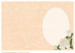 Peach Swirls and Ivory Roses Insert
